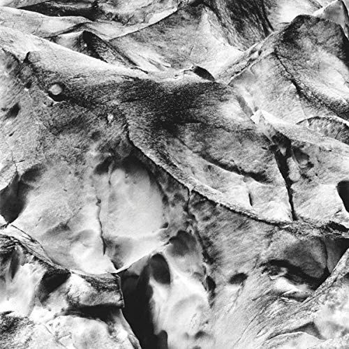 2026_05_10_3256451
