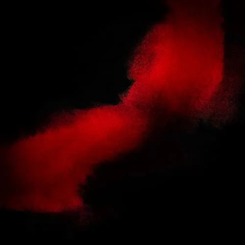 2026_05_11_3456845