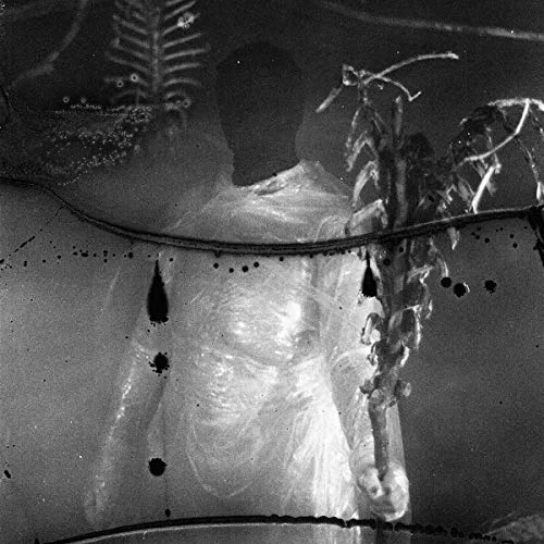 2026_05_11_3487422