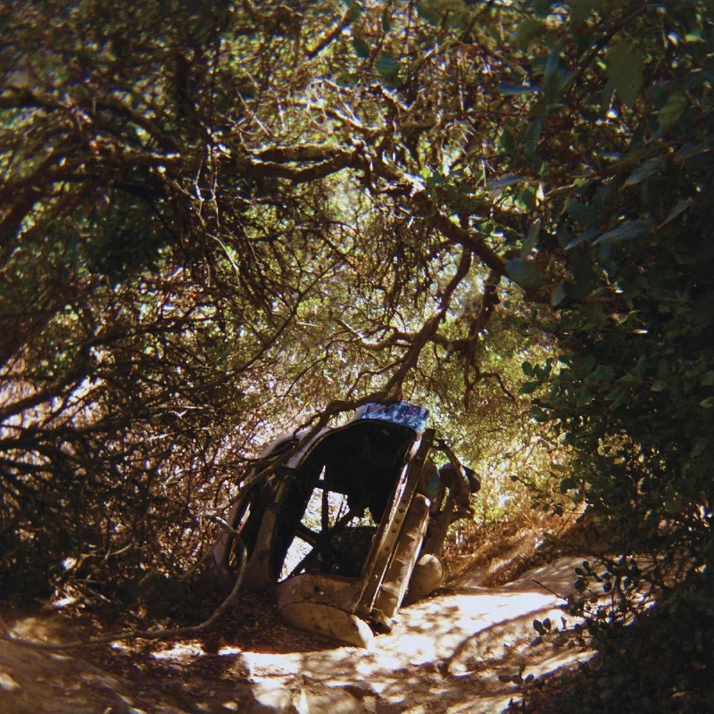 2026_05_14_3906557